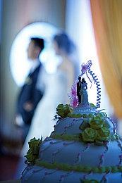 像素风种田游戏《帕查的根源》 于Steam推出试玩Demo